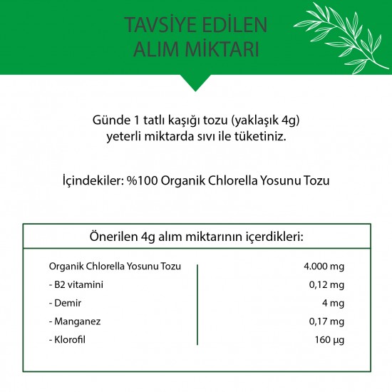 Organik Chlorella Tozu