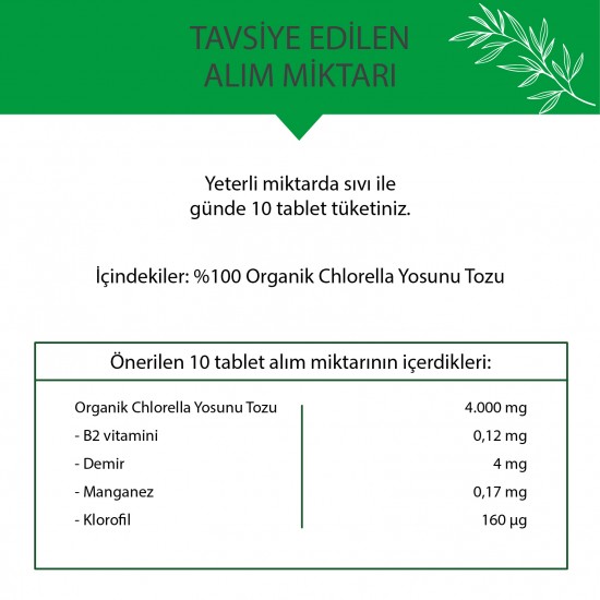 Organik Chlorella Tablet