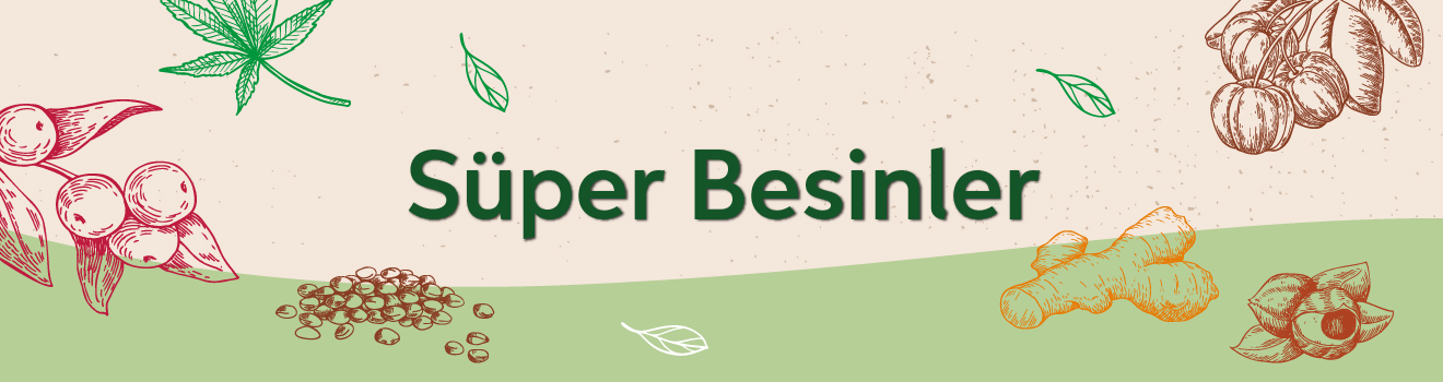 Süper Besinler